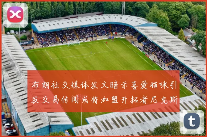 布朗社交媒体发文暗示喜爱猫咪引发交易传闻或将加盟开拓者尼克斯雷霆湖人